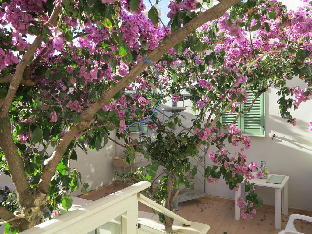 Casamare Hotel San Vincenzo Szoba fotó